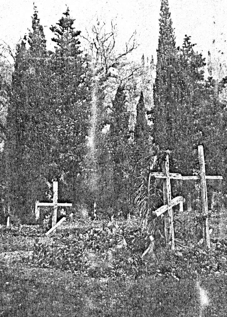 Семейный погост Данилевских 1911г.